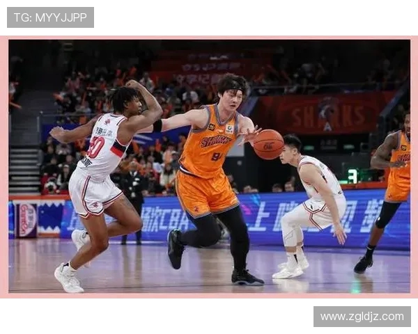 广州篮球队实力揭秘:从战术到球员的全面分析与展望