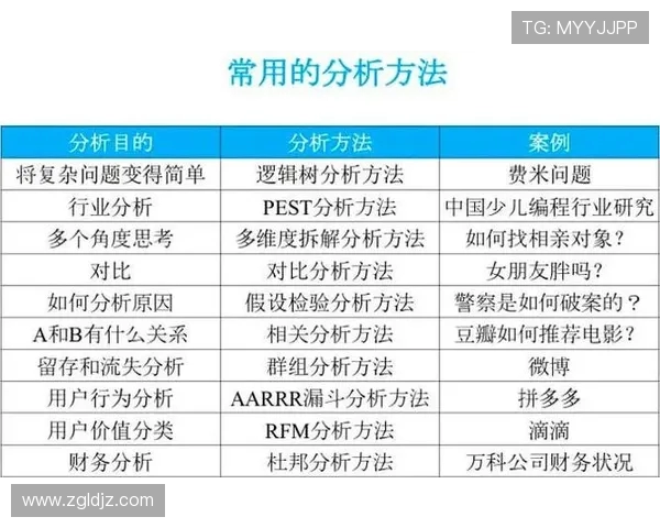成都网球队战术表现深度分析与数据解读探讨