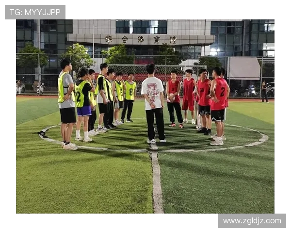 飞盘飞扬：西安飞盘队成长历程的真实记录与感悟